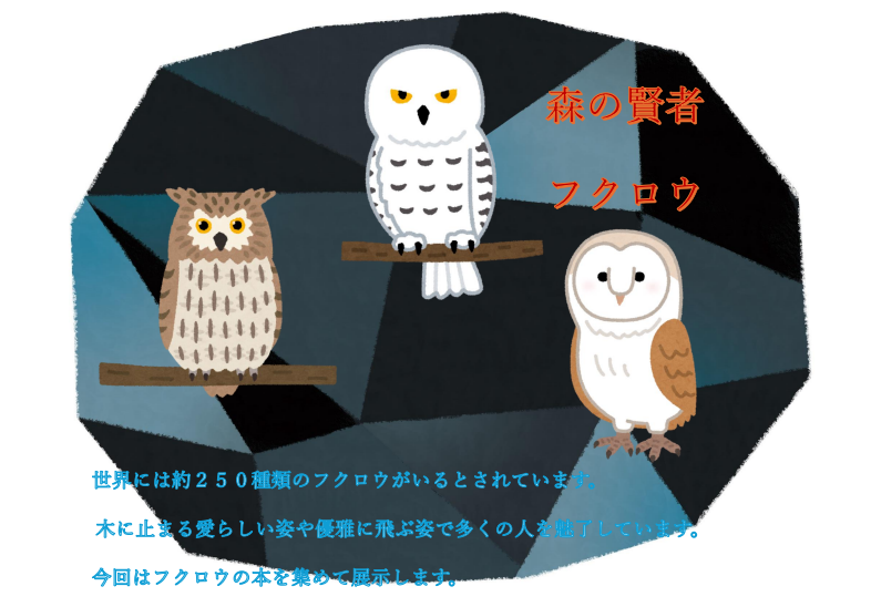 フクロウの本の展示
