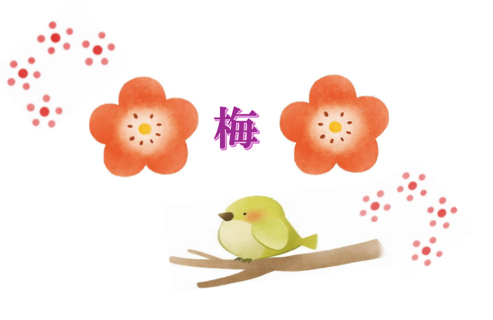 梅を使った料理、和菓子の本の展示